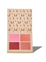 CATHARINE HILL PALETA BLUSH ANGEL WINGS POWDER-1022/A1