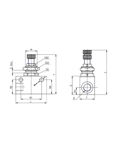 REGULADOR FLUXO PNEUM UNIDIRECIONAL G1/4