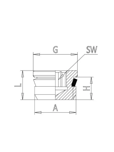 CONEXAO TAMPAO 1/8 BSP