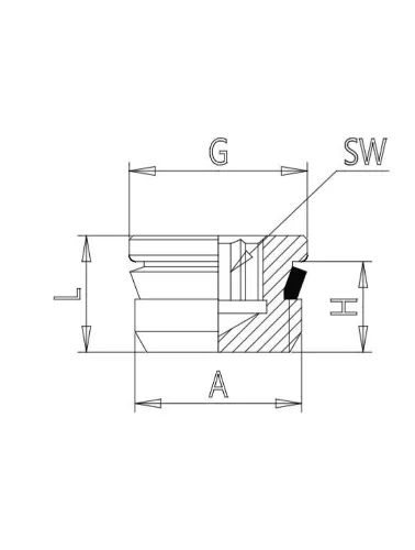 CONEXAO TAMPAO 1/4 BSP