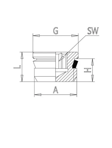 CONEXAO TAMPAO 1/2 BSP