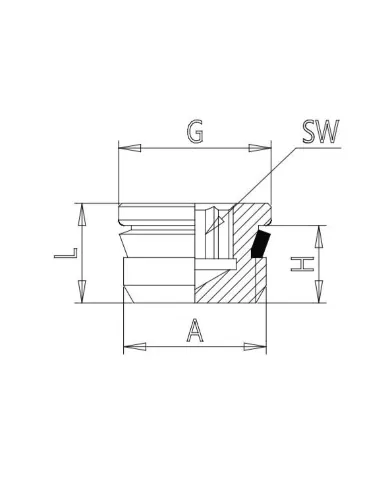 CONEXAO TAMPAO 3/8 BSP