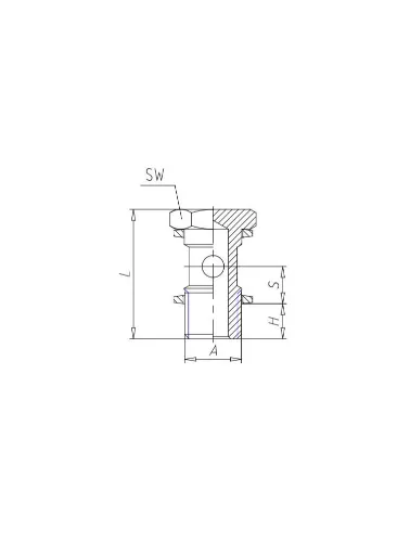 PARAFUSO ROSCA G1/4