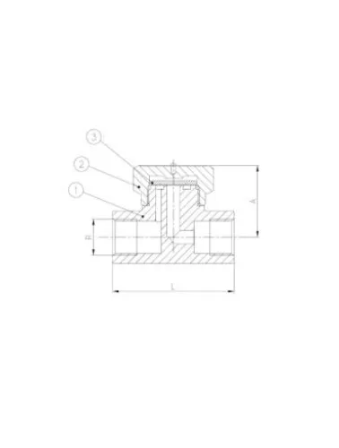 PURGADOR TERMOD 1POL INOX VAPOR 52 BAR