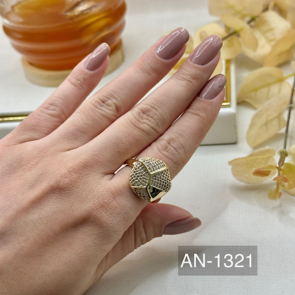 ANEL AN-1321