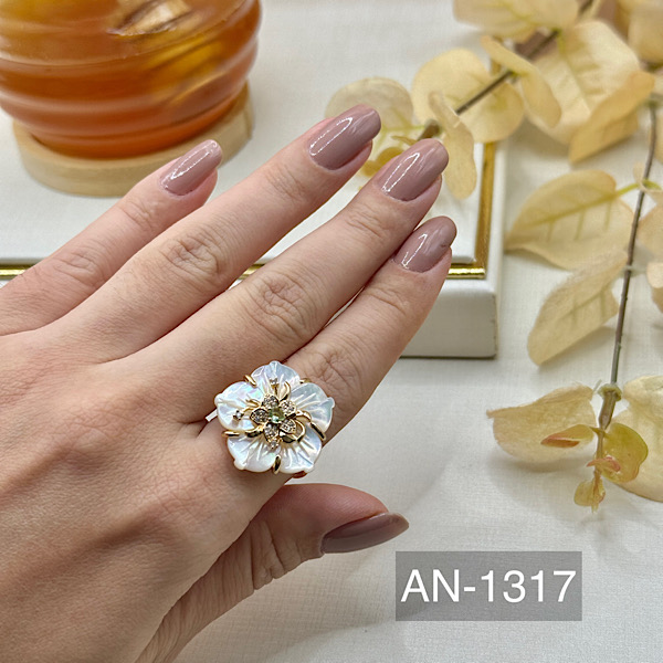 ANEL AN-1317