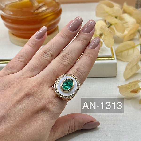 ANEL AN-1313