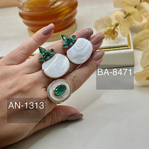 ANEL AN-1313