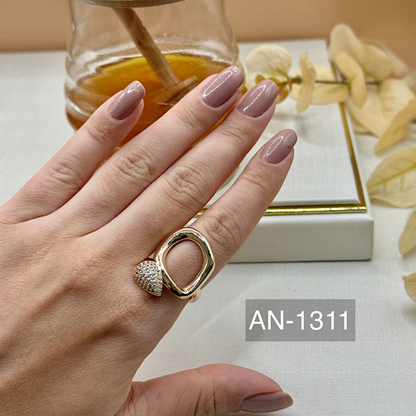 ANEL AN-1311