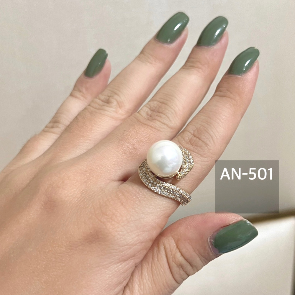 ANEL AN-501