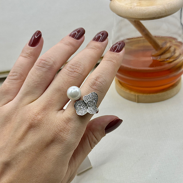 ANEL AN-292