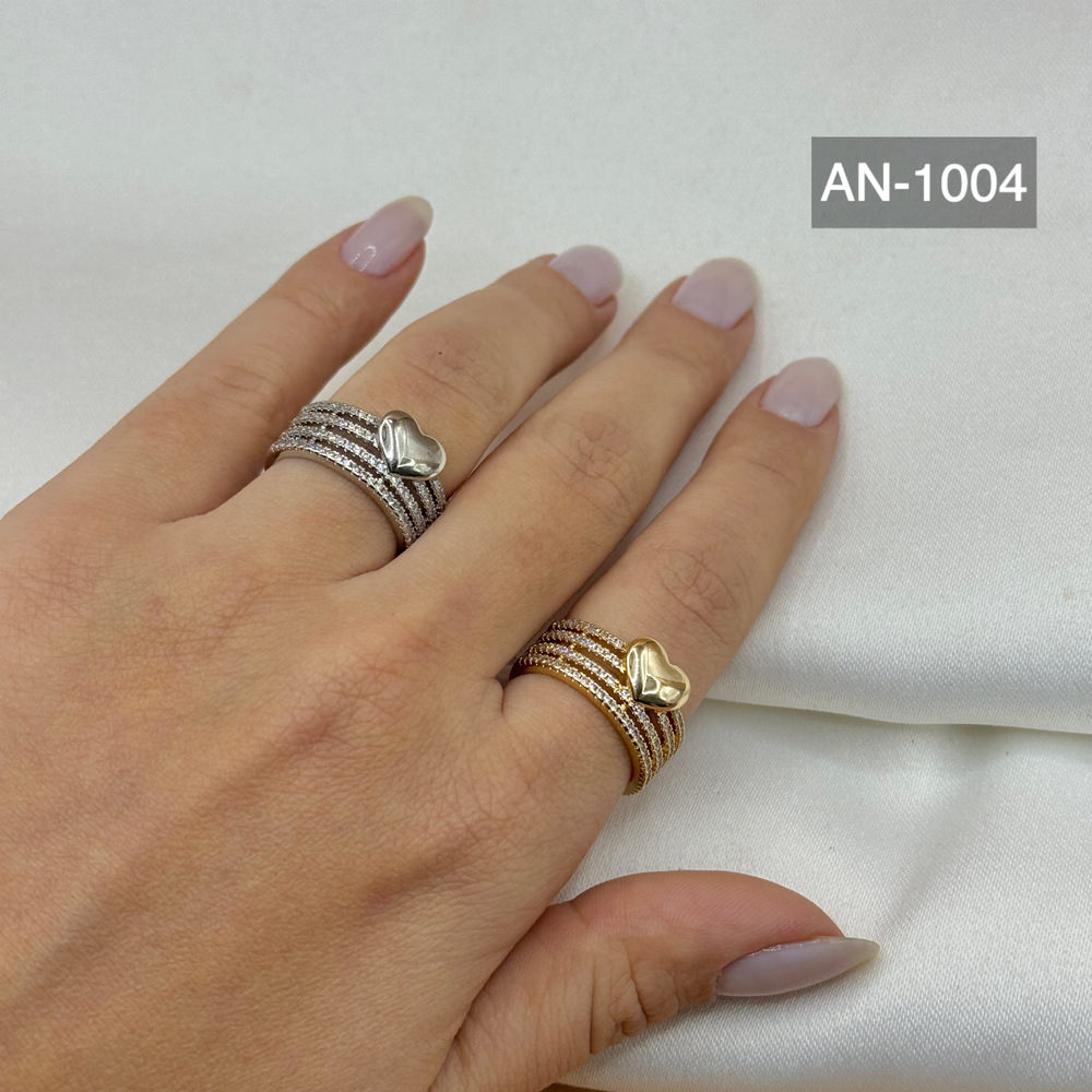 ANEL AN-1004