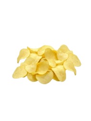 CHIPS MACAXEIRA/OREGANO RAIZZES GRANEL