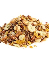 GRANOLA SALGADA PREMIUM GRANEL