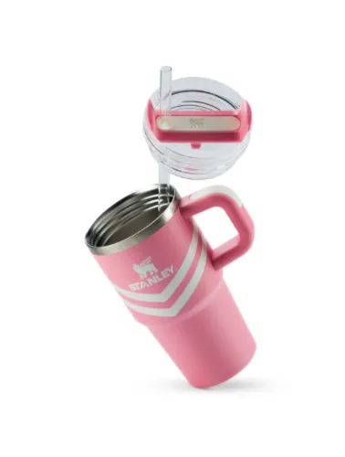 COPO QUENCHER TERMICO 2.0 0,59L PLUMERIA CHEVRON STANLEY 0768