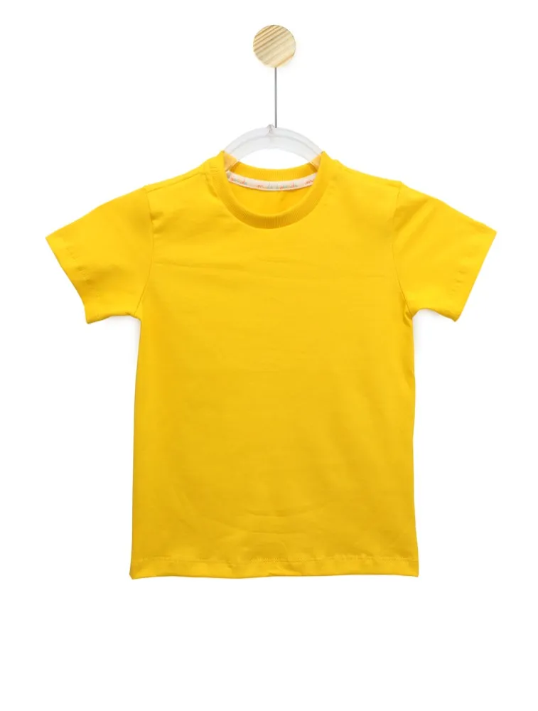 CAMISETA LISA - TORCIDA COPA VERDE AMARELO - AM 2008
