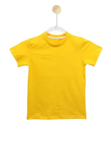 CAMISETA LISA - TORCIDA COPA VERDE AMARELO - AM 2008