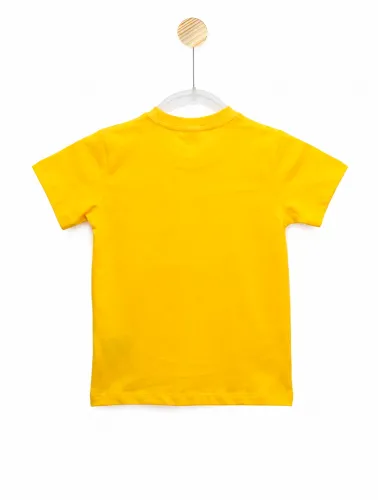 CAMISETA LISA - TORCIDA COPA VERDE AMARELO - AM 2008