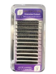 CILOS HELEN COLOR 6DW