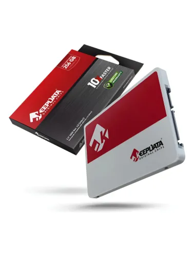 SSD KEEPDATA 256GB  KDS256G-L21
