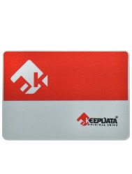 SSD KEEPDATA 256GB  KDS256G-L21