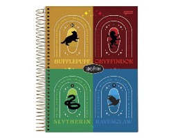 CAD.15 X 1 LIC. 300FLS HARRY POTTER