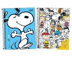 CAD.10 X 1 COLEG 160FLS SNOOPY VINTAGE