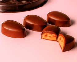 FORMA ESPECIAL TRADICIONAL - BOMBOM OVO LISO